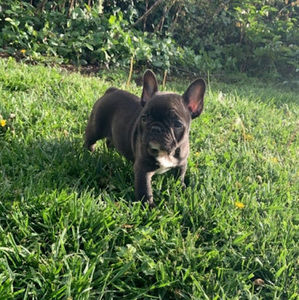 Meet your Posher, Cara